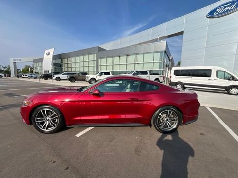 Used 2016 Ford Mustang Premium w/ Equipment Group 201A RWD image 8