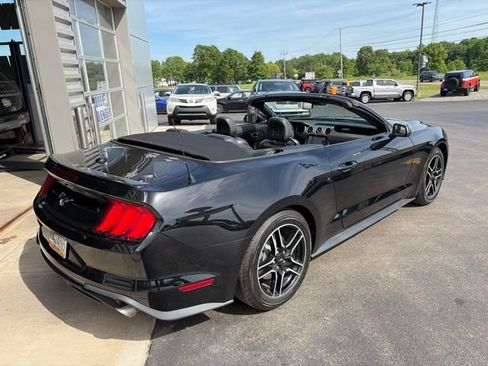 Used 2023 Ford Mustang Premium RWD image 3