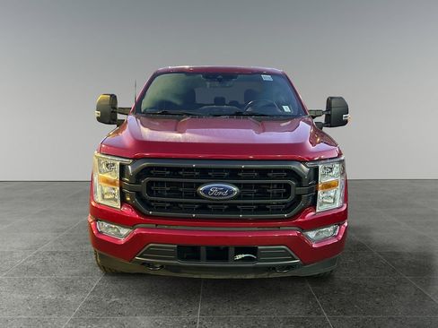 Used 2022 Ford F150 XLT w/ Equipment Group 301A Mid image 2