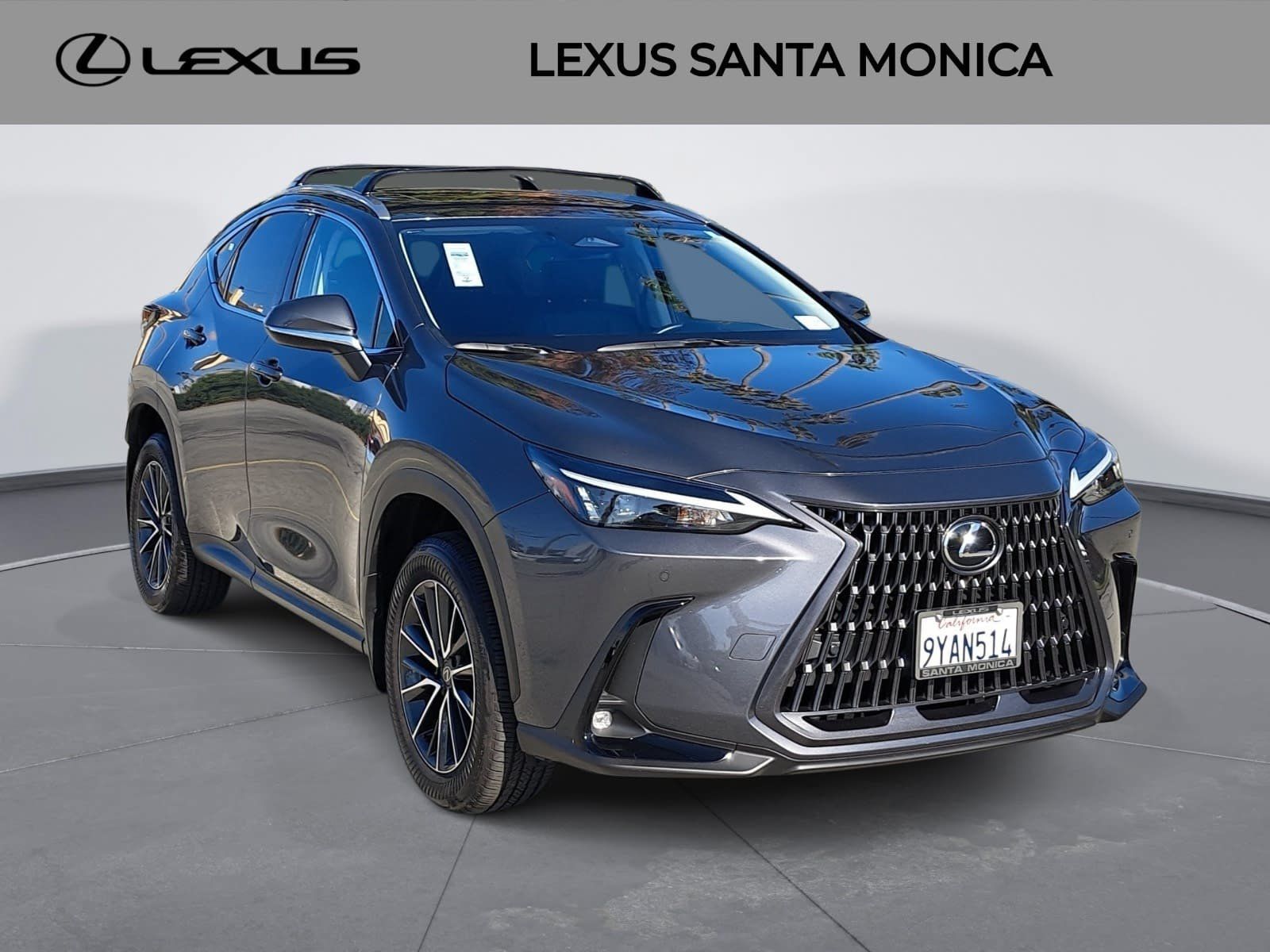 Used 2026 Lexus NX 350h AWD w/ Premium Package image 3