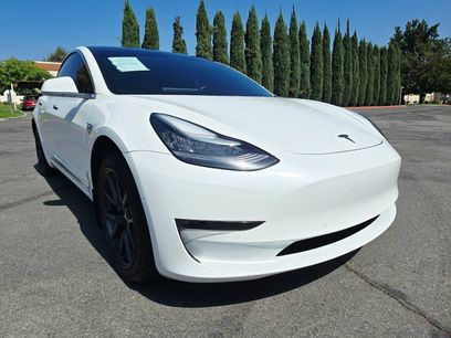 Used 2019 Tesla Model 3 Standard Range Plus