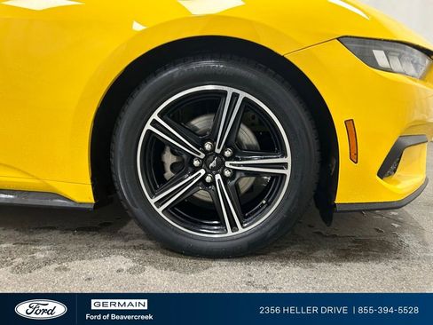 Used 2024 Ford Mustang Premium image 11