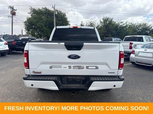 Used 2019 Ford F150 XLT w/ Equipment Group 302A Luxury RWD image 3