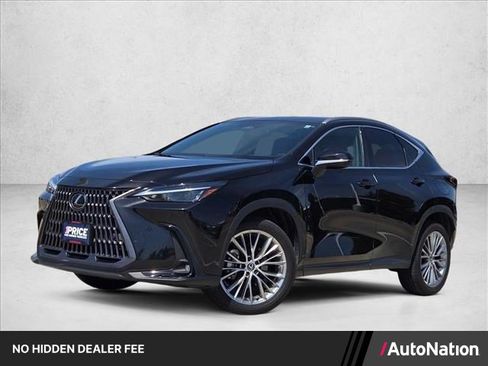 Used 2025 Lexus NX 350h AWD w/ Cold Area Package image 1