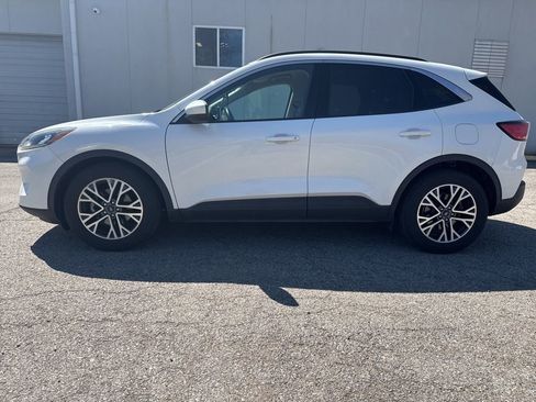 Used 2020 Ford Escape SEL image 3