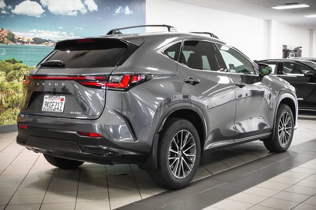 Certified 2024 Lexus NX 250 FWD w/ Cold Area Package image 6