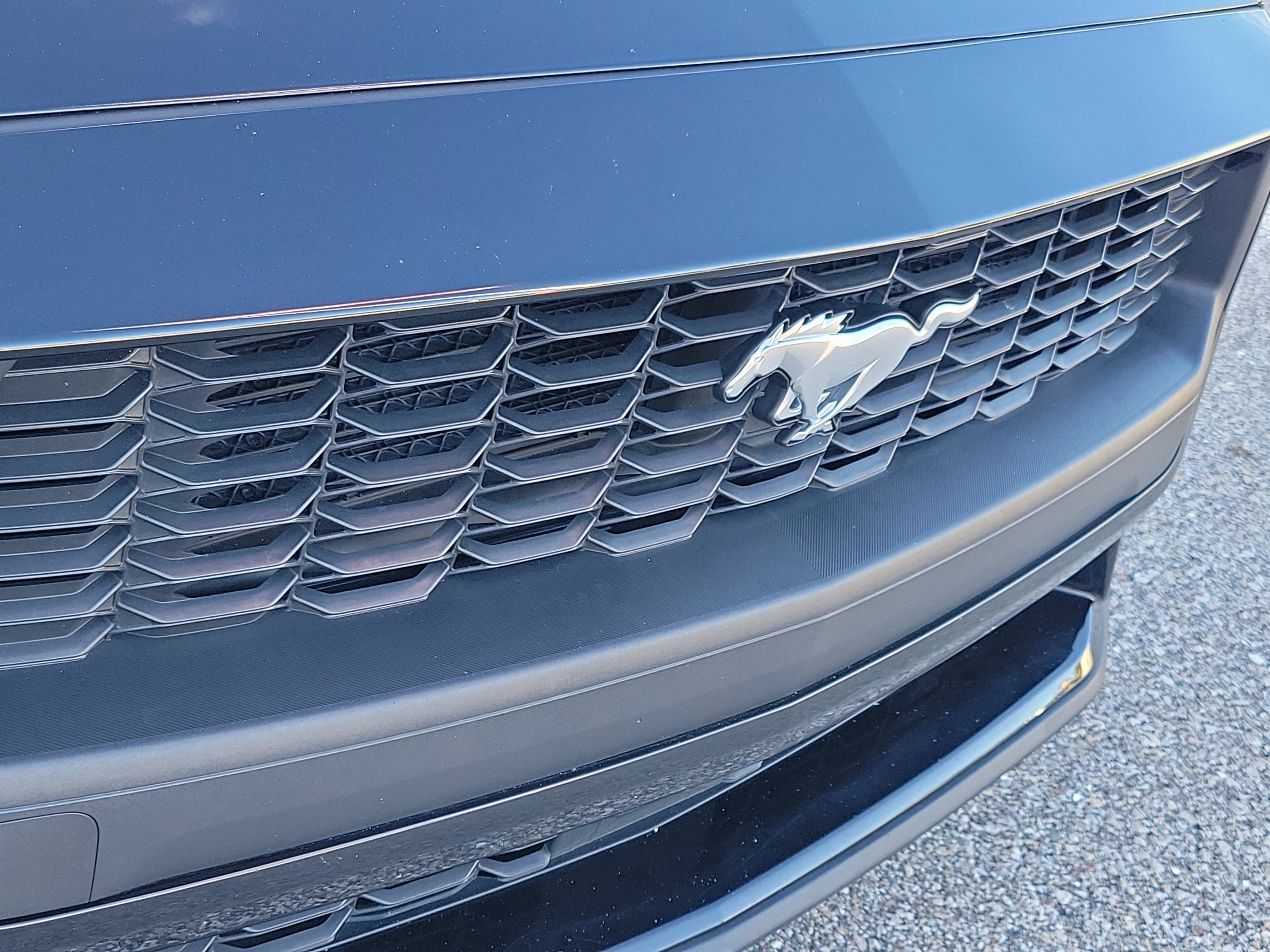Used 2025 Ford Mustang Premium RWD image 10