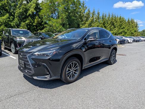 Certified 2024 Lexus NX 350h AWD image 7