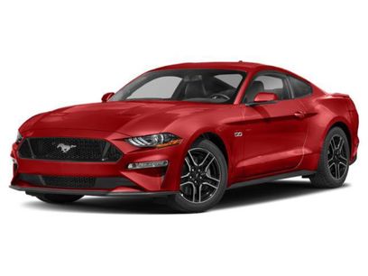 Used 2019 Ford Mustang GT Premium w/ Equipment Group 401A