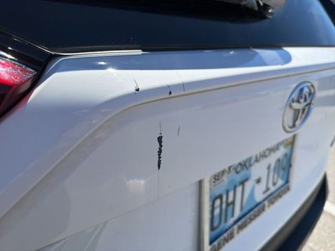 Used 2019 Toyota RAV4 XLE image 5