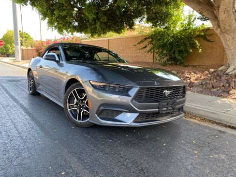 Used 2025 Ford Mustang Premium RWD image 2