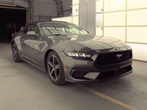 Used 2024 Ford Mustang Premium RWD image 1