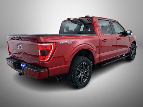 Used 2021 Ford F150 XLT w/ Equipment Group 302A High AWD/4WD image 5