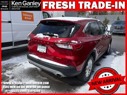 Used 2022 Ford Escape SE w/ Convenience Package image 10
