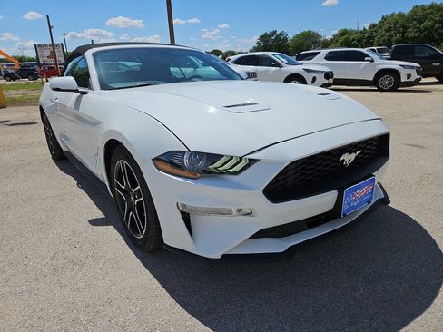 Used 2020 Ford Mustang Premium RWD image 2