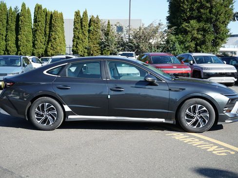 New 2026 Hyundai Sonata Blue image 4