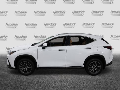 Certified 2026 Lexus NX 350 AWD image 6