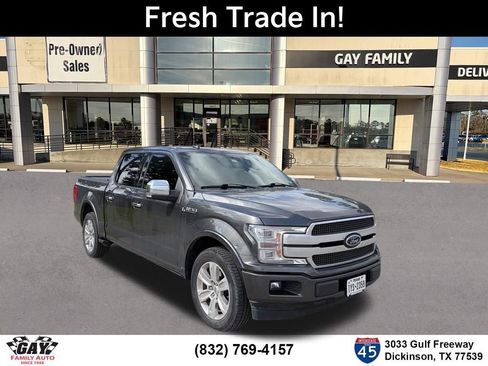 Used 2019 Ford F150 Platinum w/ Equipment Group 701A Luxury image 1