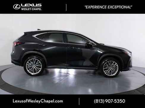 Used 2025 Lexus NX 350 AWD w/ Cold Area Package image 2