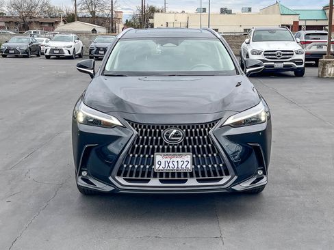 Certified 2024 Lexus NX 350h AWD w/ Cold Area Package image 6