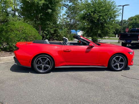 Certified 2024 Ford Mustang Premium RWD image 3