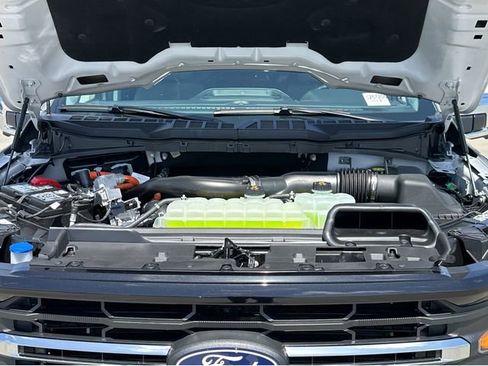 New 2025 Ford F150 XLT w/ Equipment Group 302A MID image 41