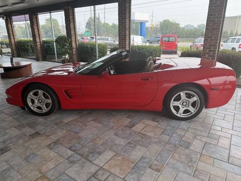 Used 1999 Chevrolet Corvette Convertible RWD image 7