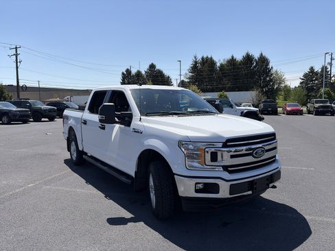 Used 2019 Ford F150 XLT w/ Equipment Group 301A Mid image 3