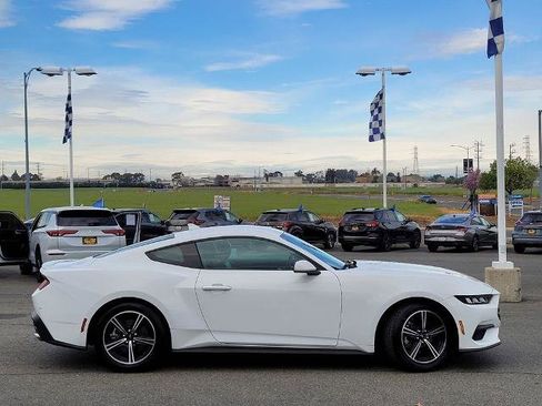 Certified 2024 Ford Mustang Premium image 3