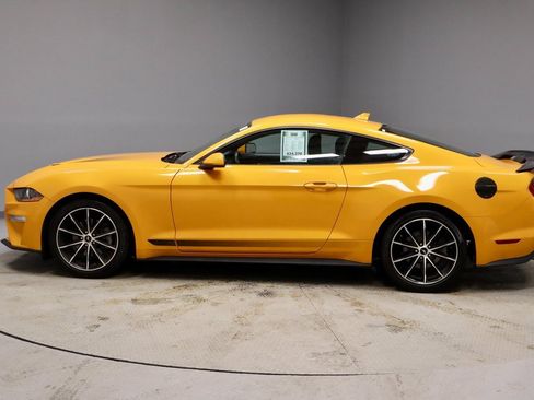Certified 2022 Ford Mustang EcoBoost w/ Equipment Group 101A image 8