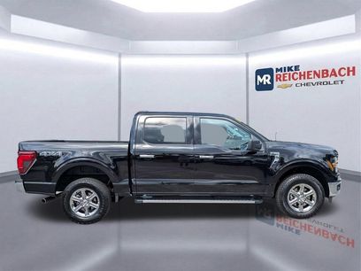 Used 2025 Ford F150 XLT w/ Equipment Group 301A Standard
