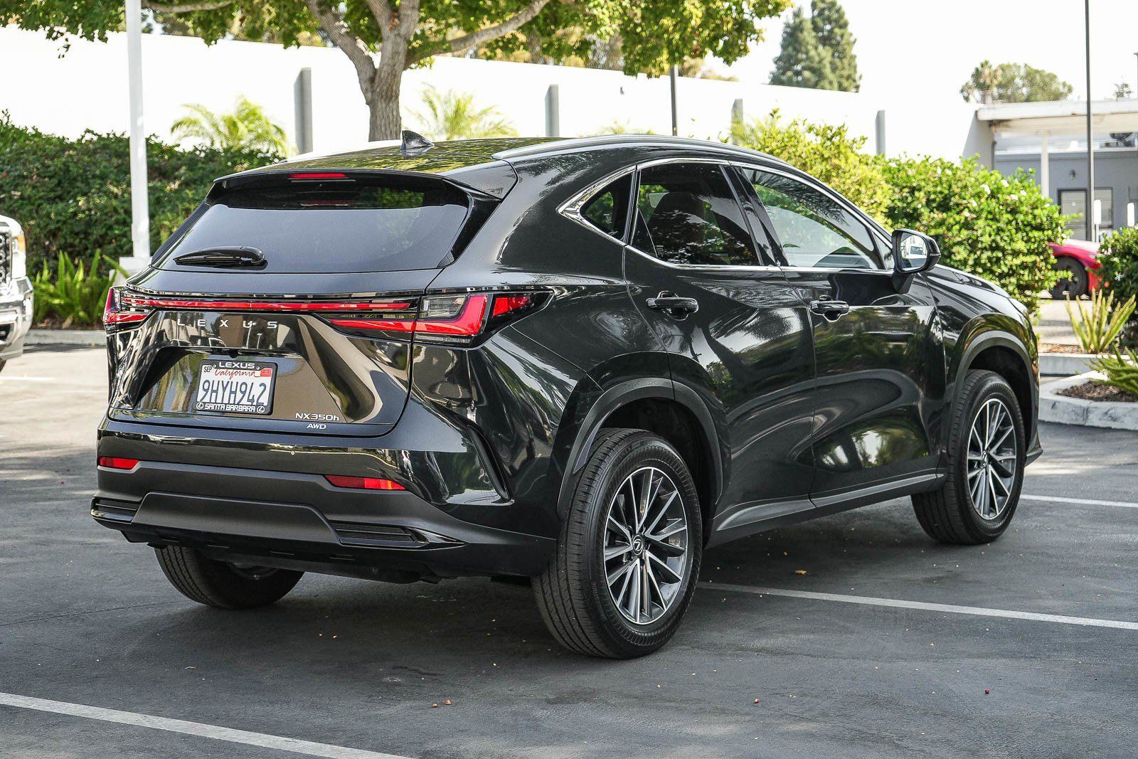Used 2024 Lexus NX 350h AWD w/ Vision Package image 6