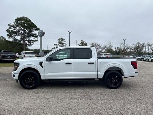 New 2024 Ford F150 STX w/ STX Black Appearance Package image 5