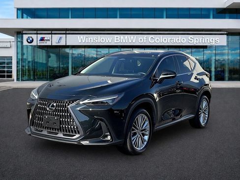 Used 2024 Lexus NX 350h AWD w/ Vision Package image 3