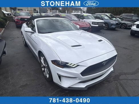 Used 2023 Ford Mustang Premium w/ Equipment Group 201A image 1