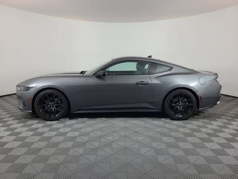 Used 2024 Ford Mustang Premium w/ Mustang Nite Pony Package RWD image 6