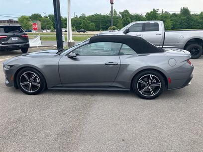 Used 2025 Ford Mustang Premium