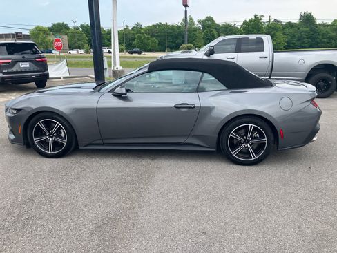 Used 2025 Ford Mustang Premium RWD image 4