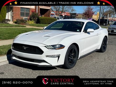 Used 2019 Ford Mustang Coupe image 1