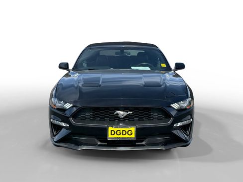 Used 2019 Ford Mustang Premium image 8