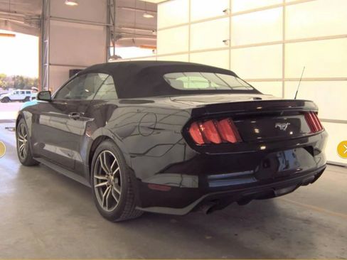 Used 2017 Ford Mustang Premium RWD image 5