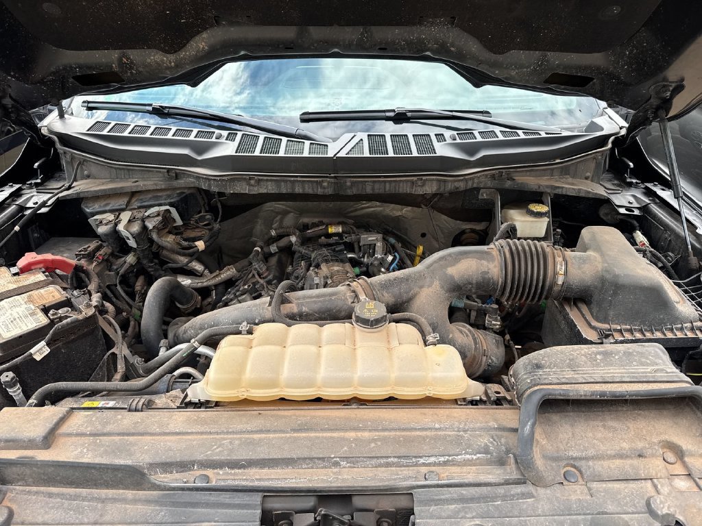 Used 2021 Ford F150 XLT w/ Equipment Group 301A Mid AWD/4WD image 19