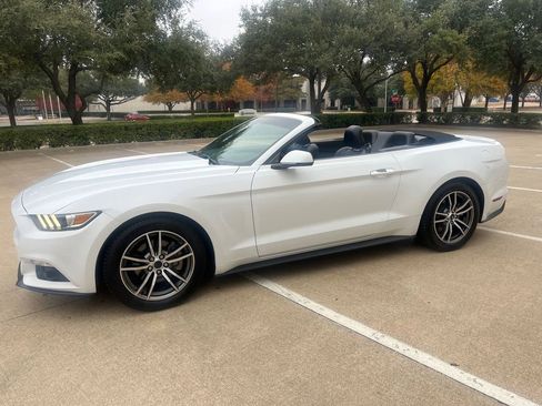 Used 2017 Ford Mustang Premium image 5