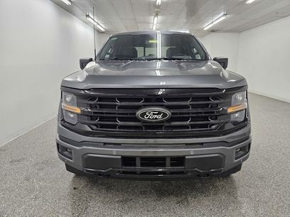 New 2026 Ford F150 XLT w/ Equipment Group 302A MID