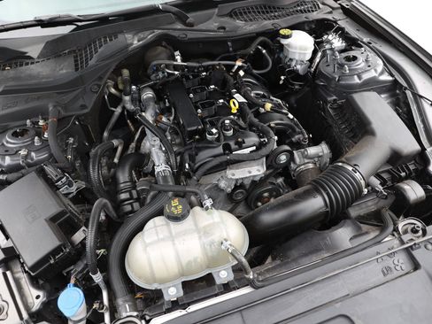 Used 2023 Ford Mustang Coupe w/ Equipment Group 101A RWD image 47