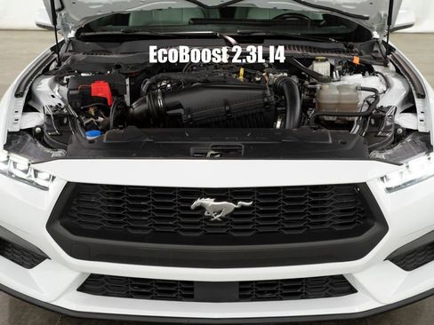 Used 2024 Ford Mustang Premium image 3