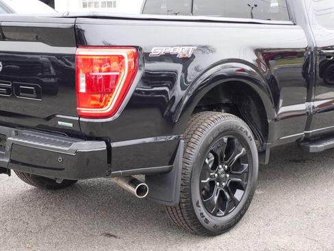 Used 2023 Ford F150 XLT w/ Equipment Group 302A High image 9