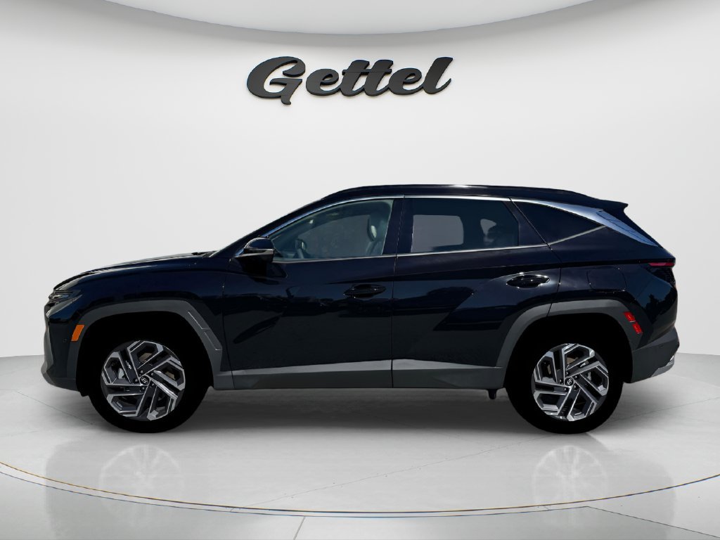 New 2026 Hyundai Tucson Limited AWD/4WD image 11