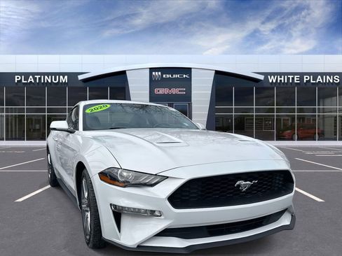 Used 2020 Ford Mustang Premium w/ Equipment Group 201A image 1