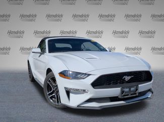 Used 2019 Ford Mustang Premium video 2